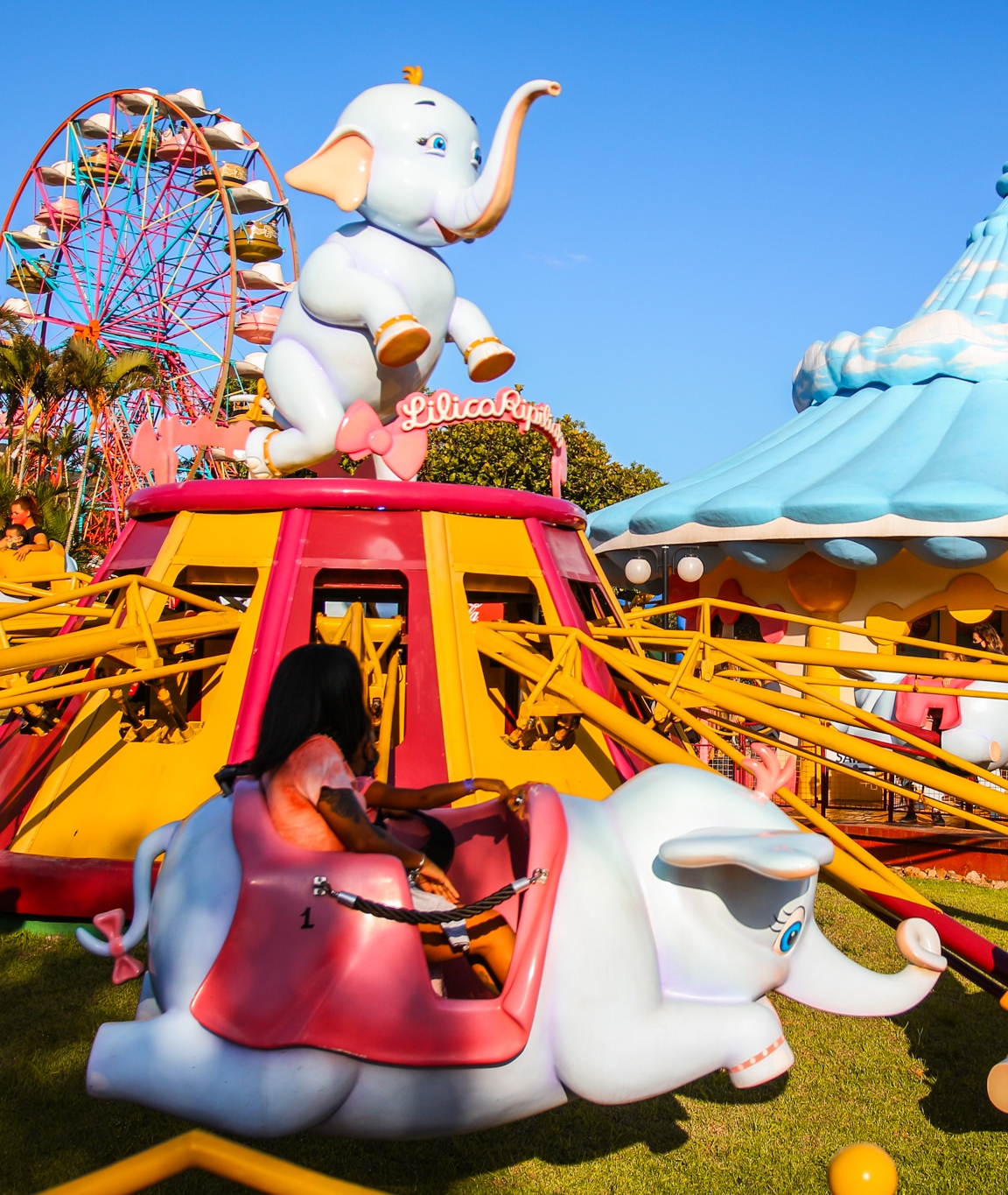 Queda de menino em atração no Beto Carrero World: o que se sabe e